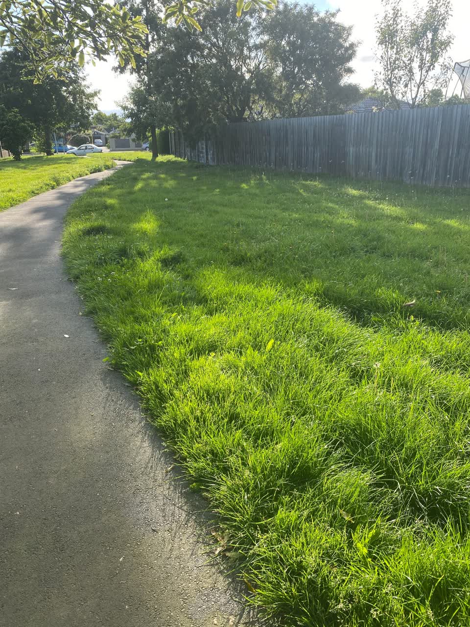 The photograph attached to this parks report