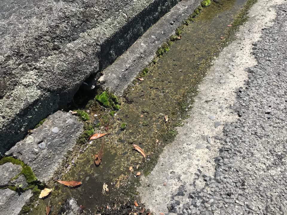 The photograph attached to this water leak report