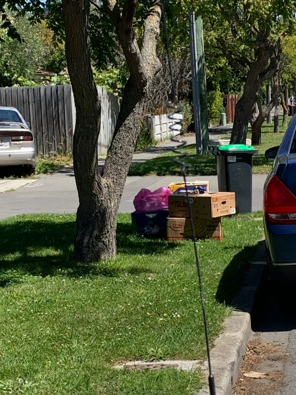 The photograph attached to this rubbish/recycling report