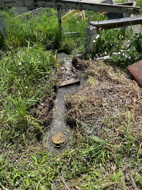 Water Leak, a report photo