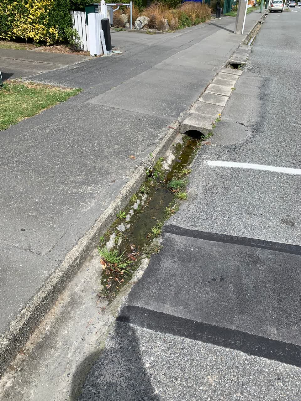 The photograph attached to this water leak report