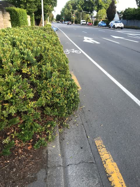 Roading/Streets, a report photo
