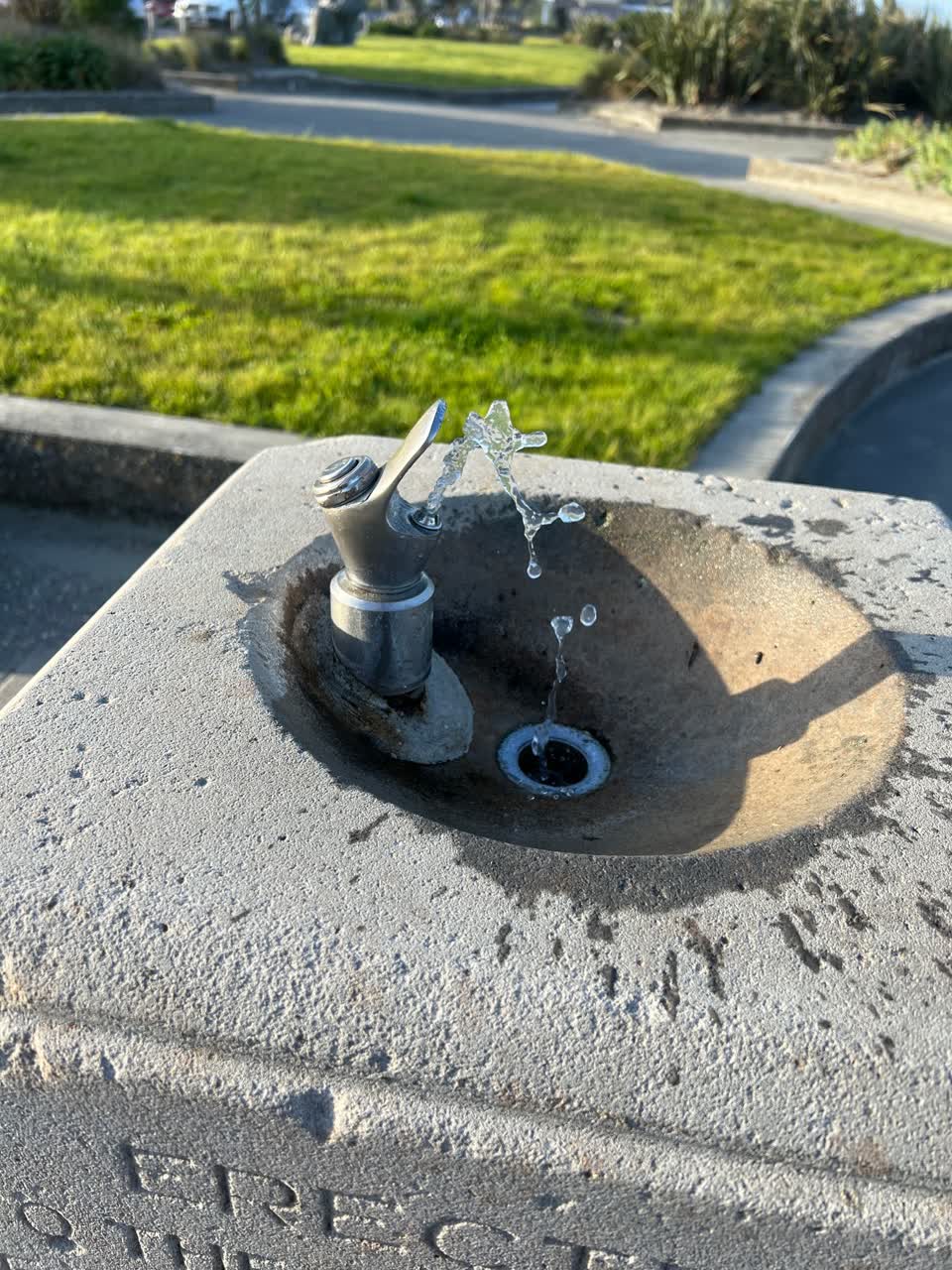 The photograph attached to this parks report