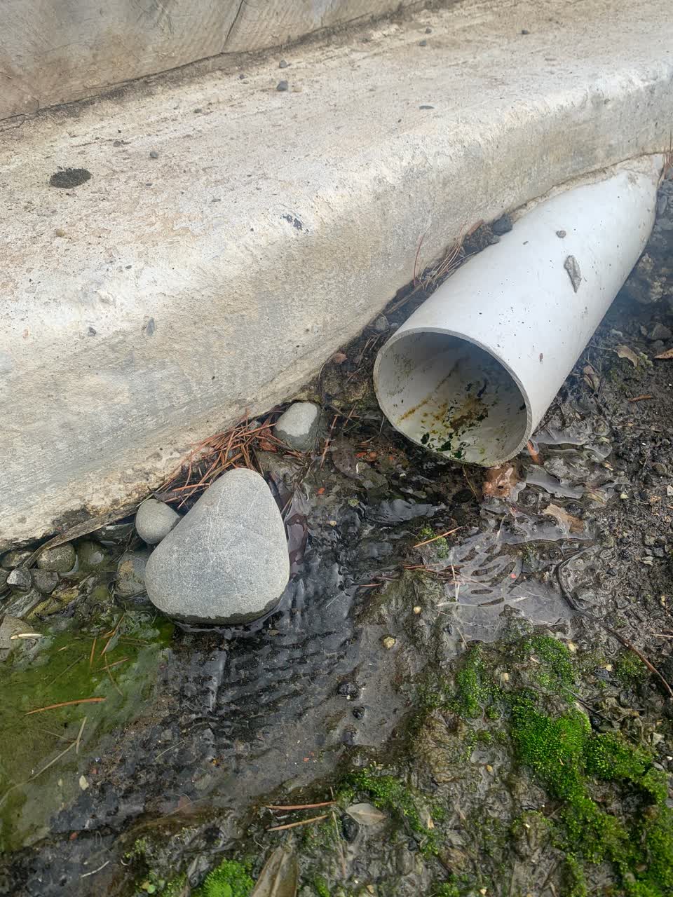 The photograph attached to this water leak report