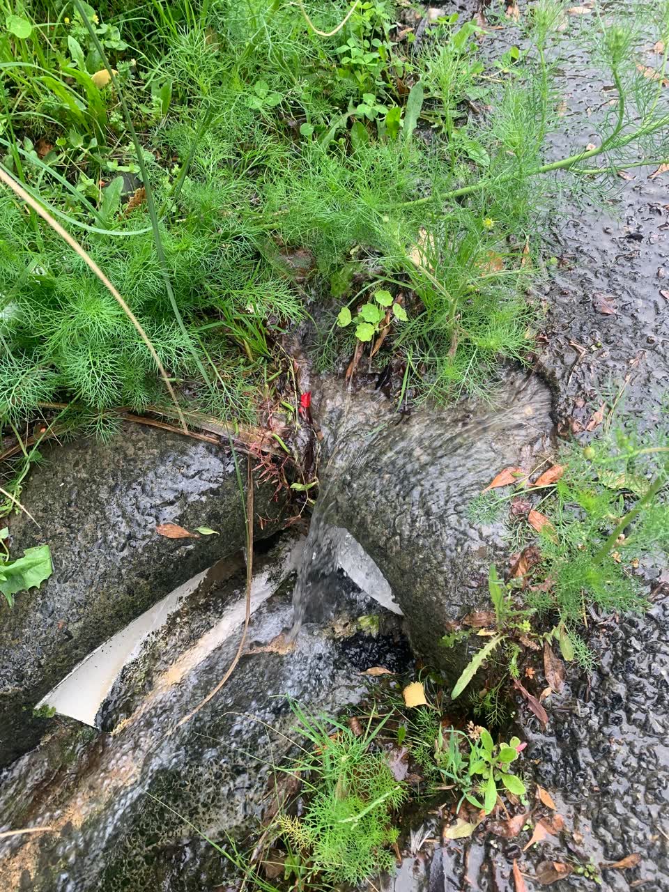 The photograph attached to this water leak report