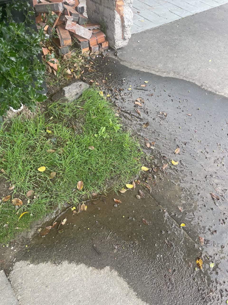 The photograph attached to this water leak report
