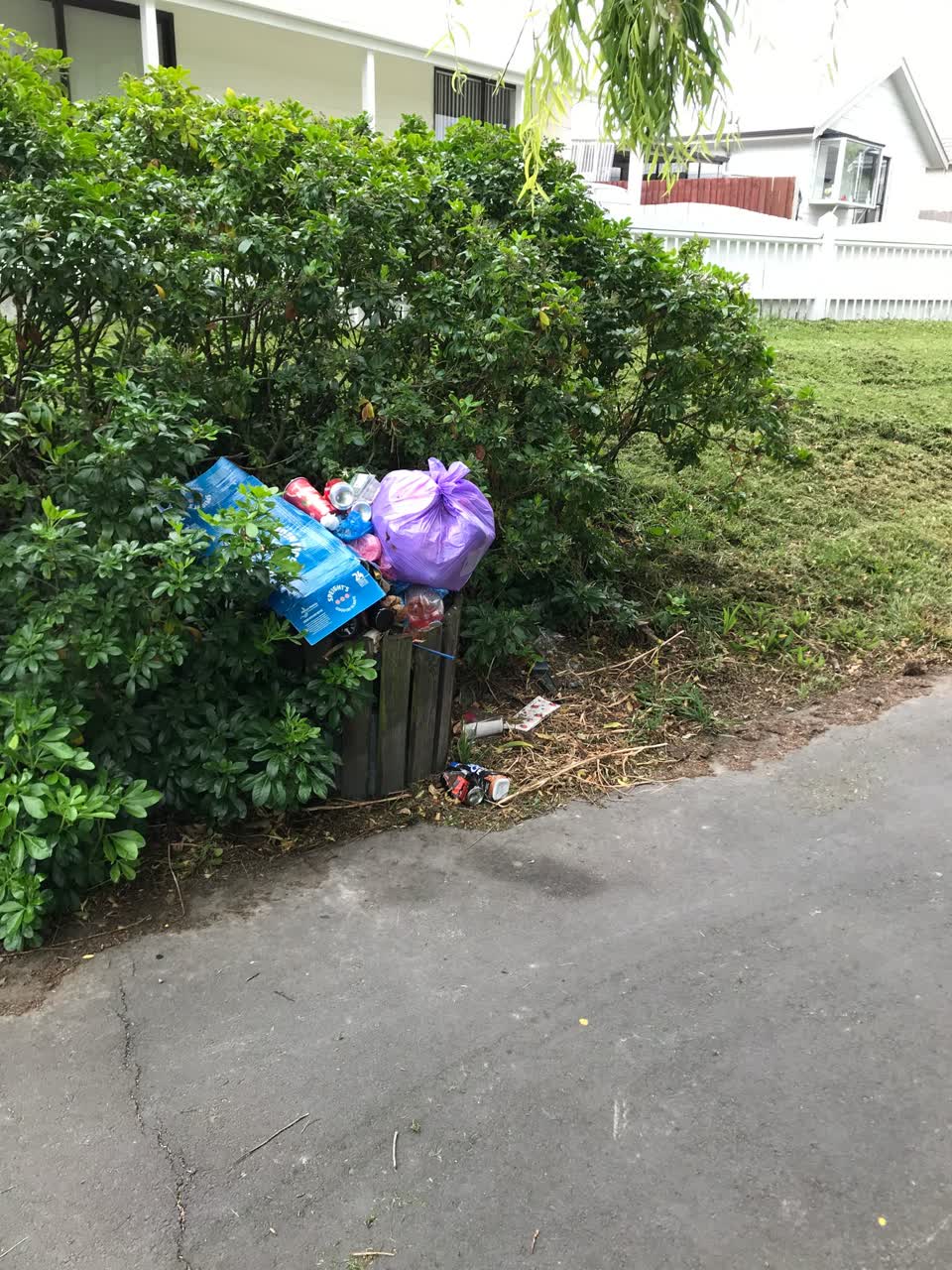 The photograph attached to this rubbish/recycling report