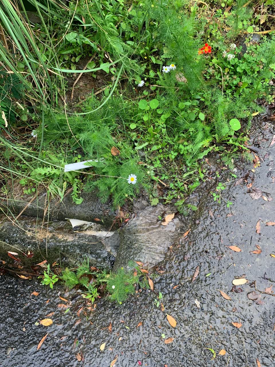 The photograph attached to this water leak report