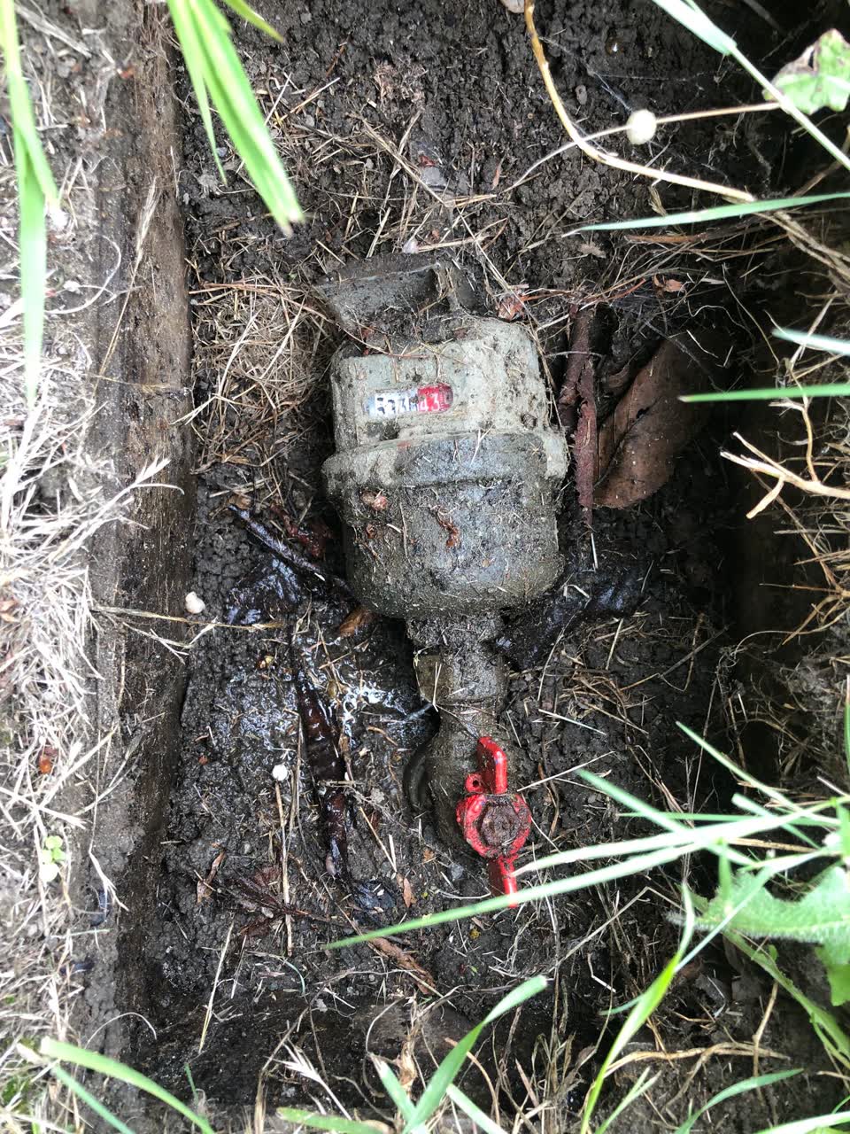 The photograph attached to this water leak report