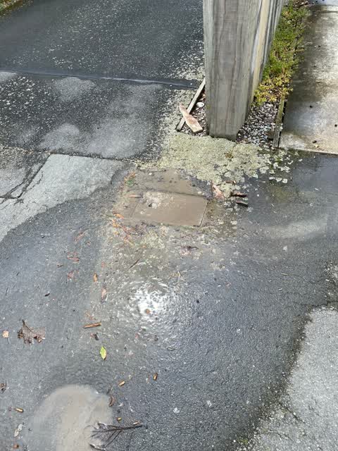 Water Leak, a report photo