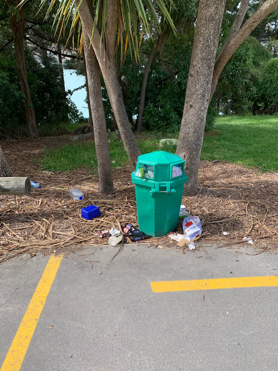The photograph attached to this rubbish/recycling report