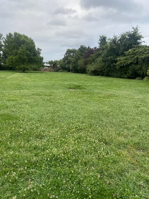 Parks, a report photo