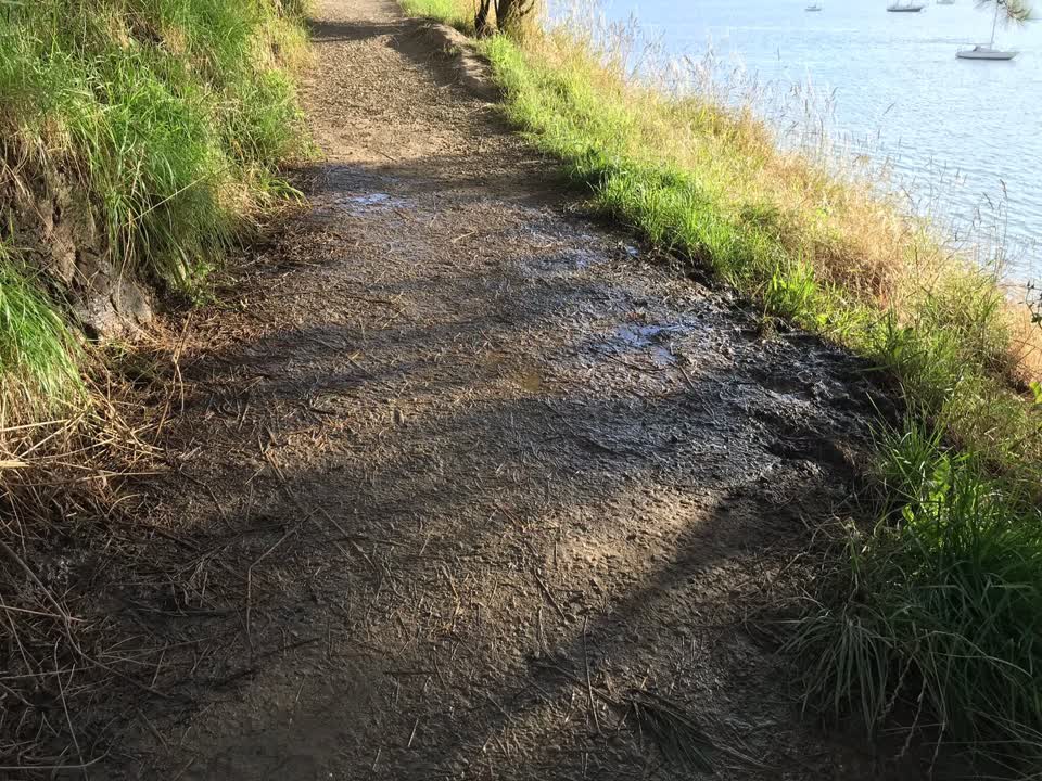 The photograph attached to this water leak report