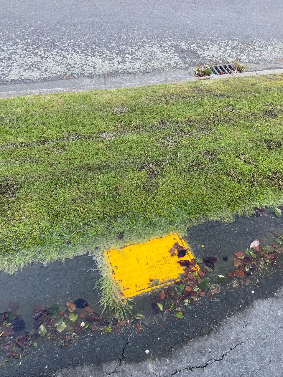 The photograph attached to this water leak report