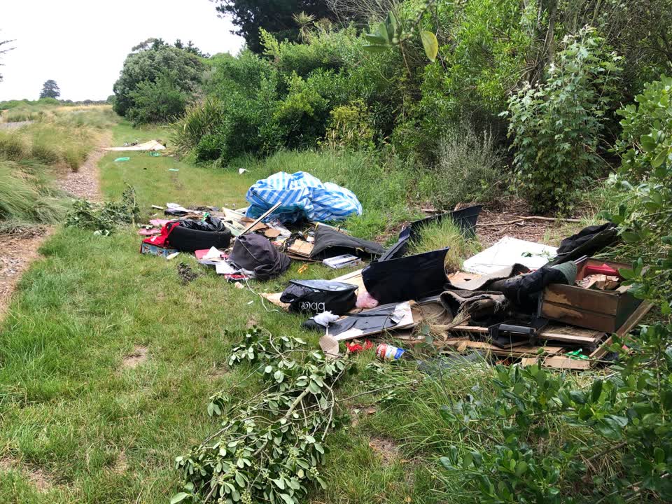The photograph attached to this parks report