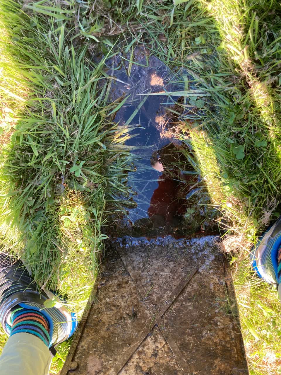 The photograph attached to this water leak report