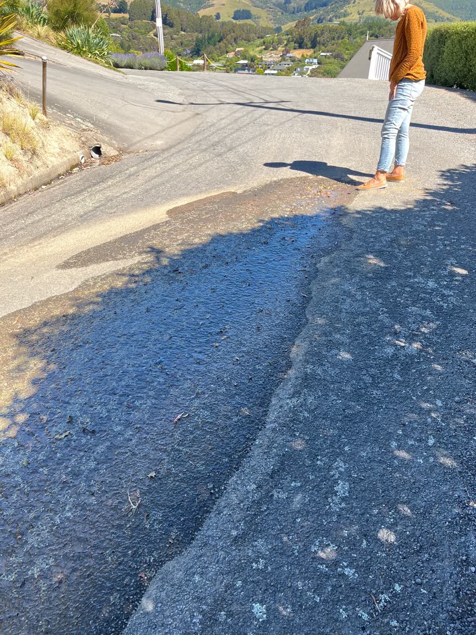 The photograph attached to this water leak report