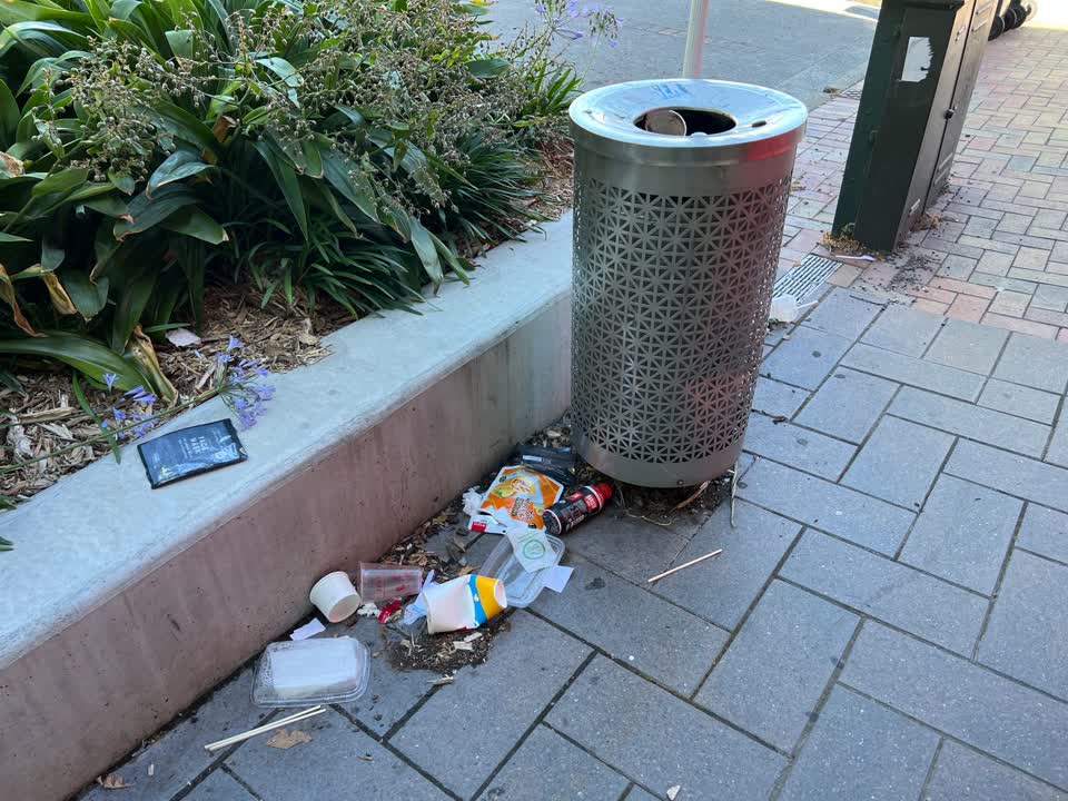 The photograph attached to this rubbish/recycling report