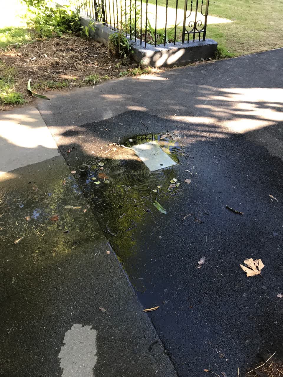 The photograph attached to this water leak report