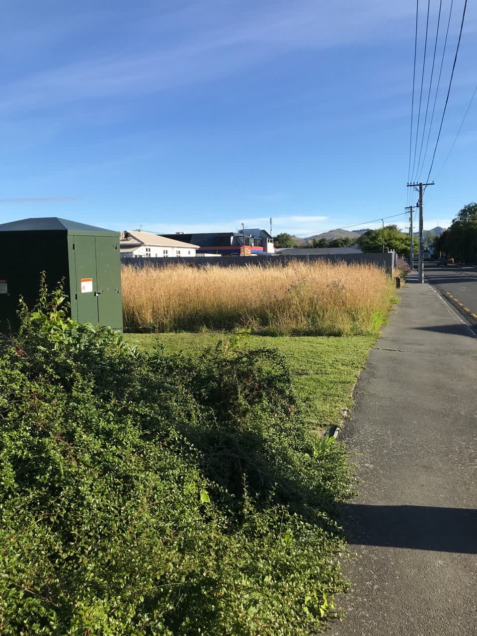 The photograph attached to this parks report