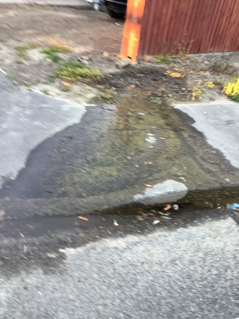 The photograph attached to this water leak report