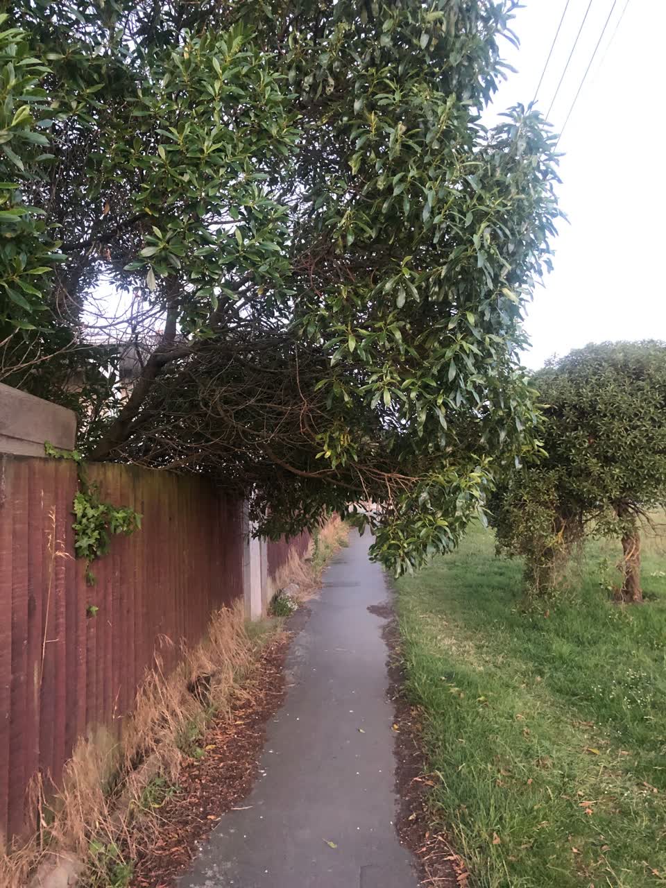 The photograph attached to this roading/streets report