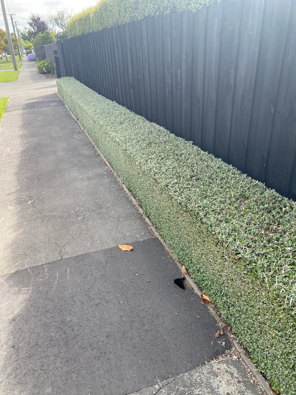 The photograph attached to this sewer - general report