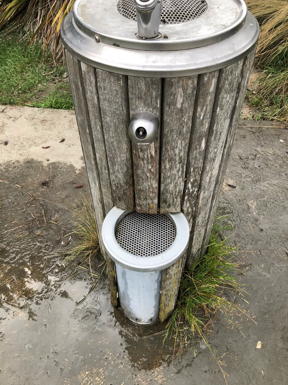 The photograph attached to this parks report