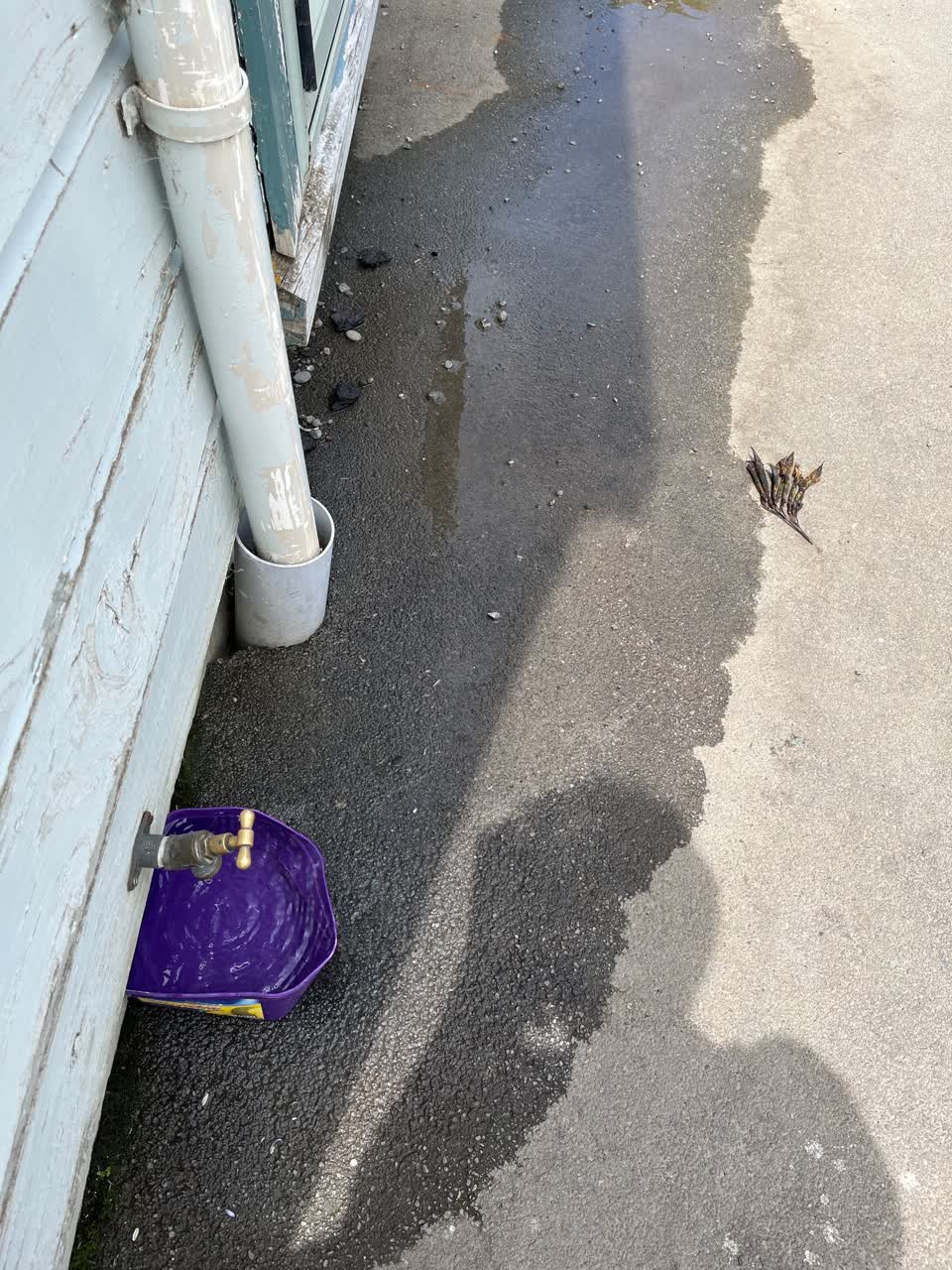 The photograph attached to this water leak report