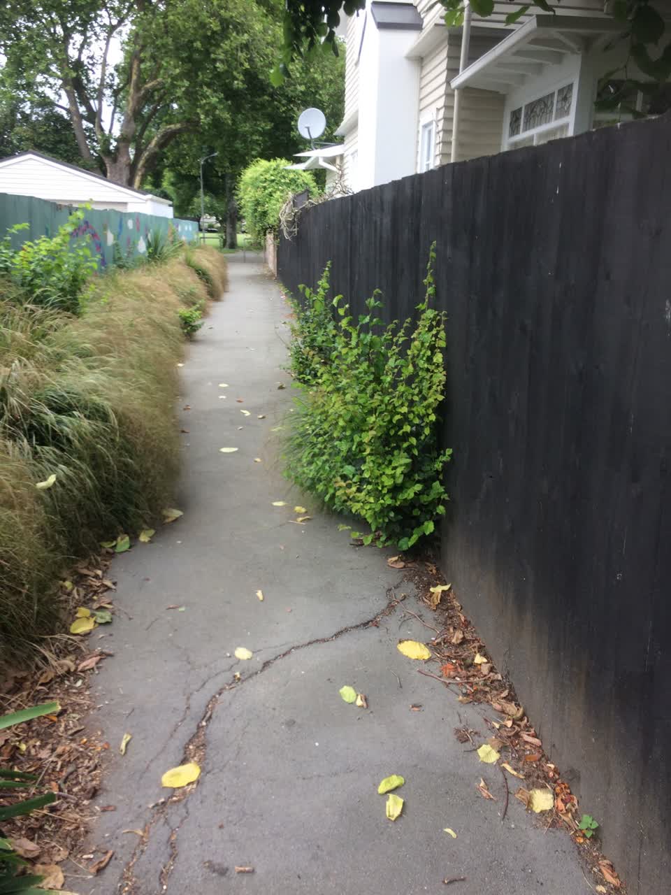 The photograph attached to this parks report