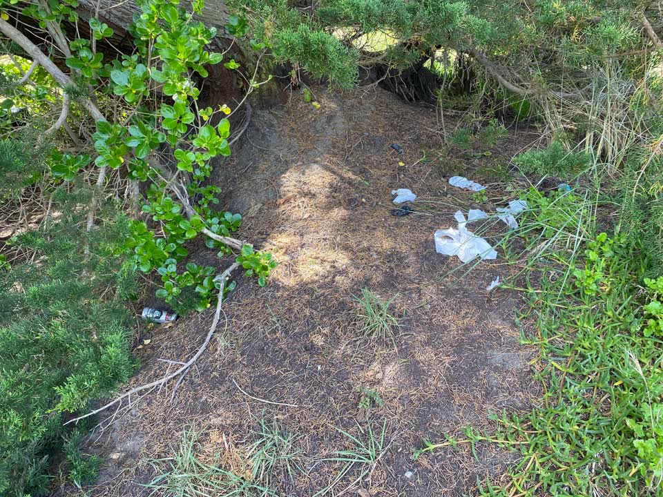 The photograph attached to this rubbish/recycling report