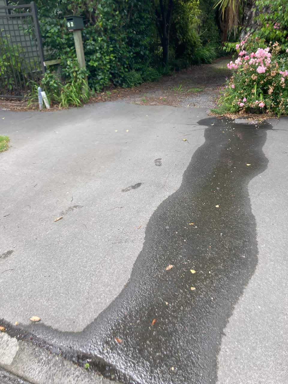 The photograph attached to this water leak report