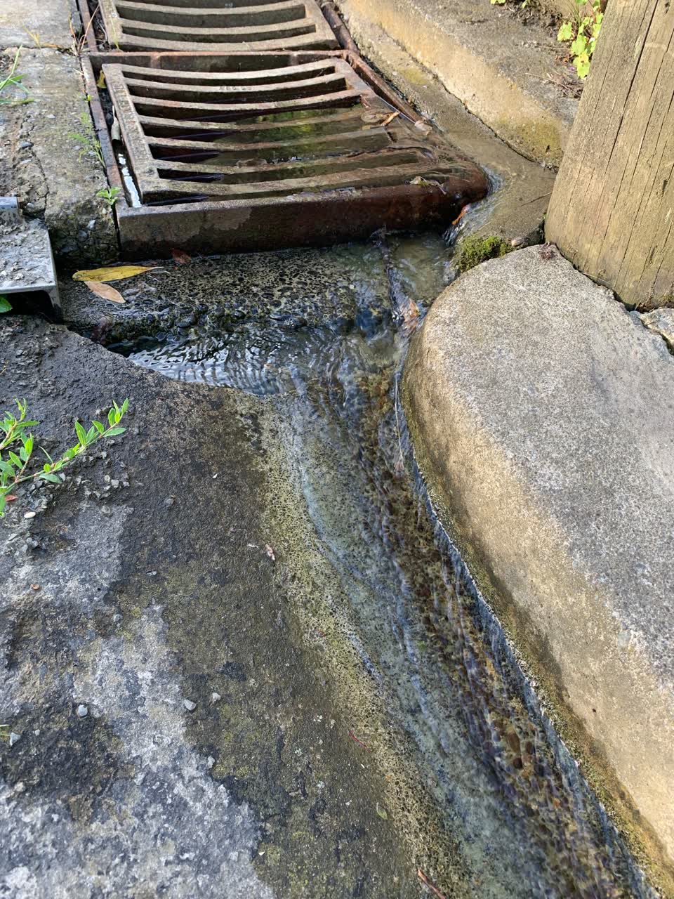 The photograph attached to this water leak report