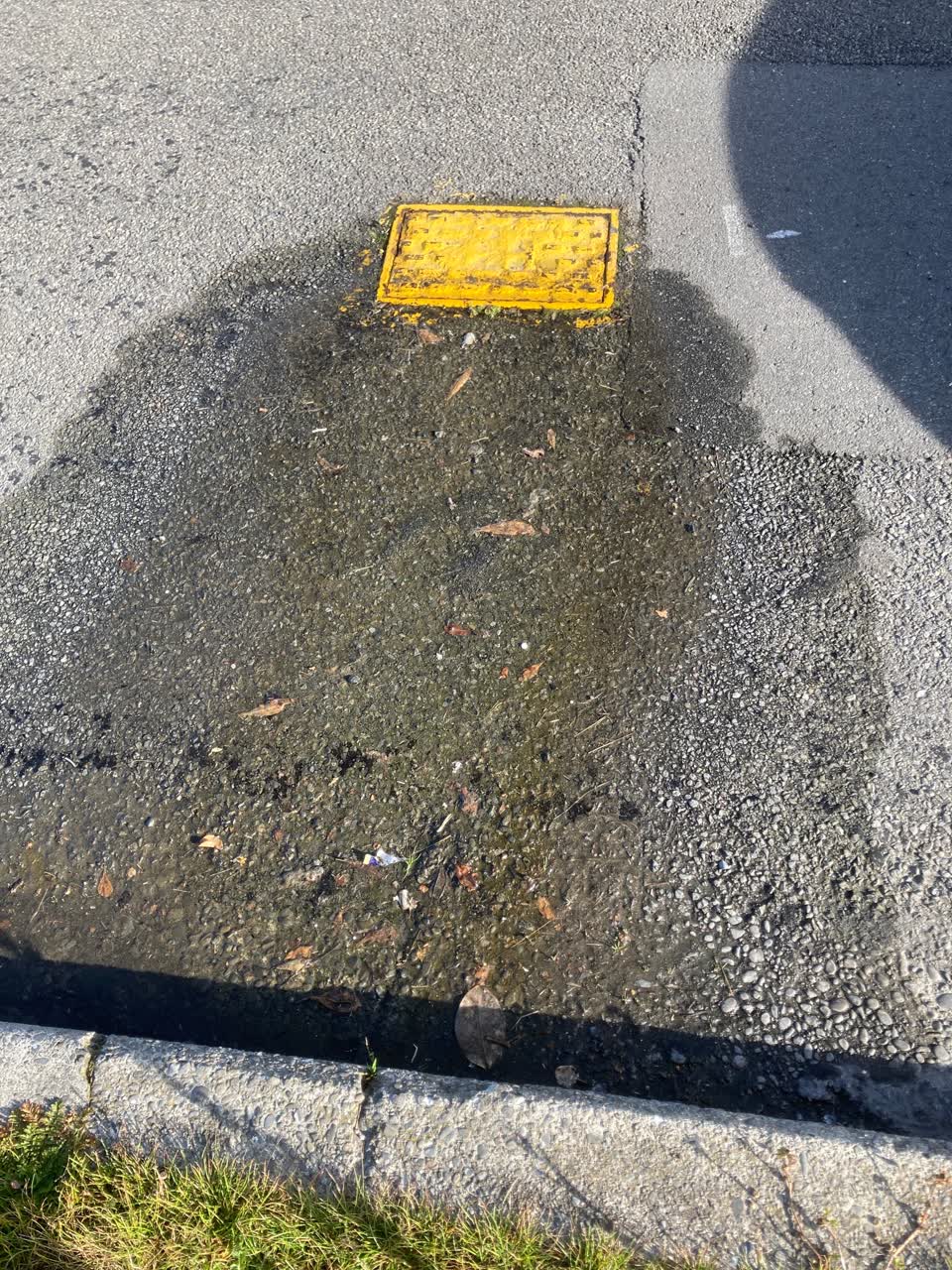 The photograph attached to this water leak report