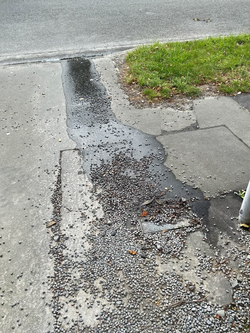 The photograph attached to this water leak report