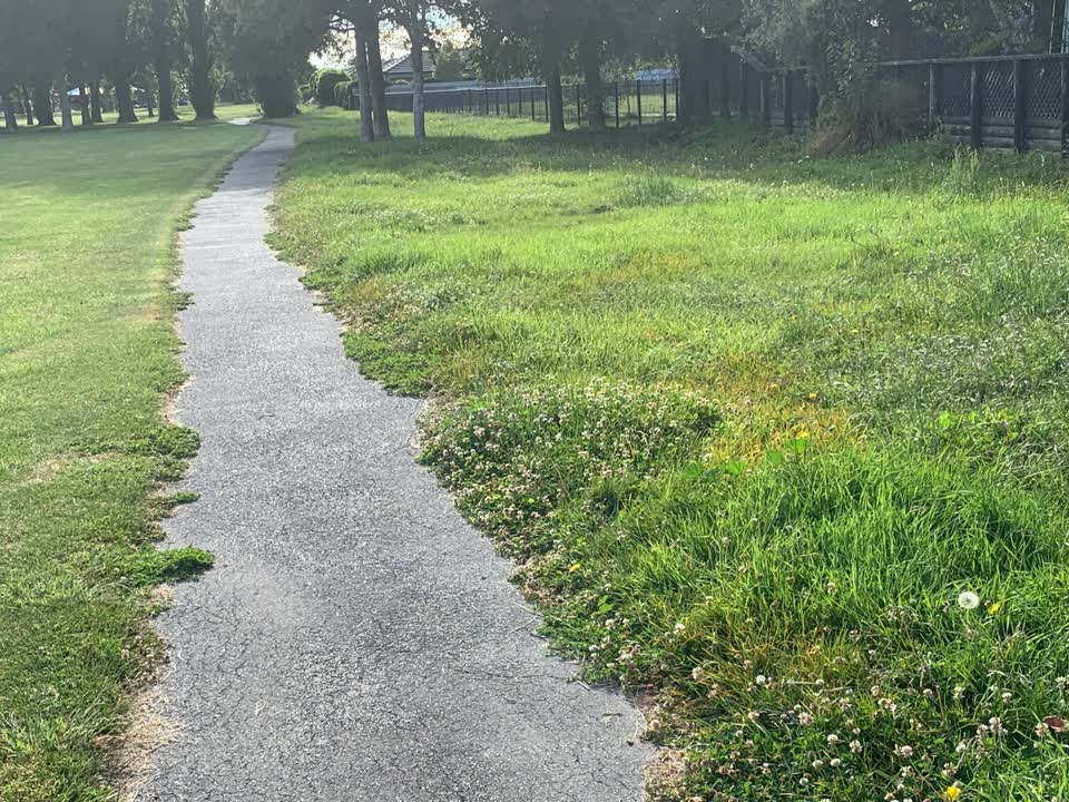 The photograph attached to this parks report