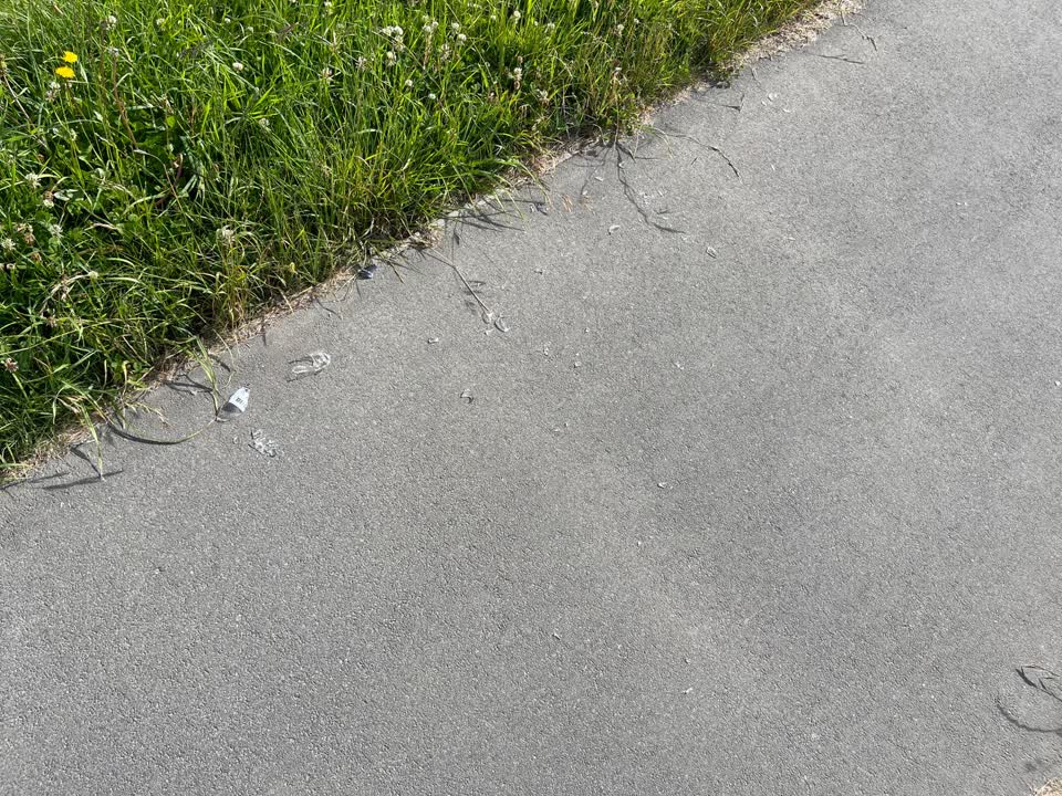 The photograph attached to this rubbish/recycling report