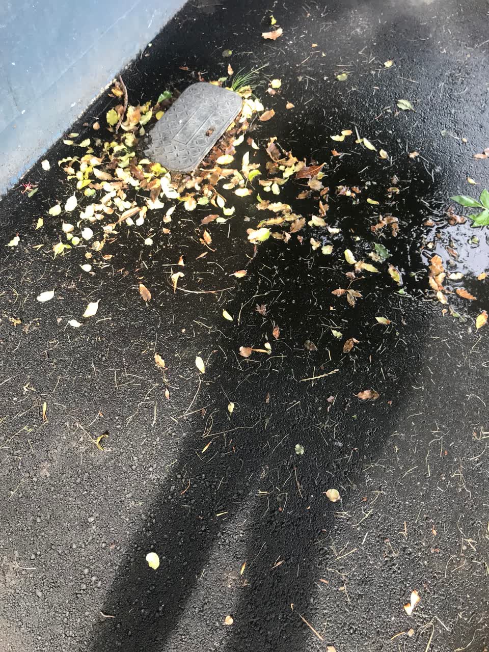 The photograph attached to this water leak report