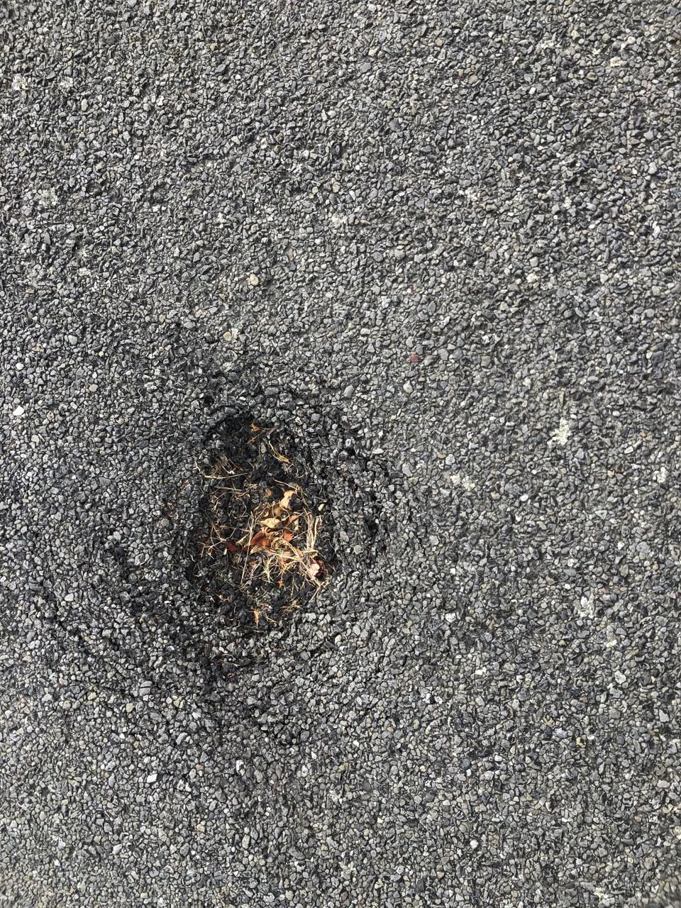 The photograph attached to this roading/streets report