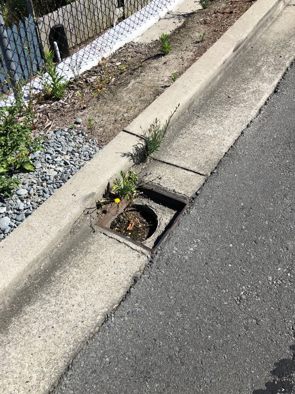 The photograph attached to this sewer - general report