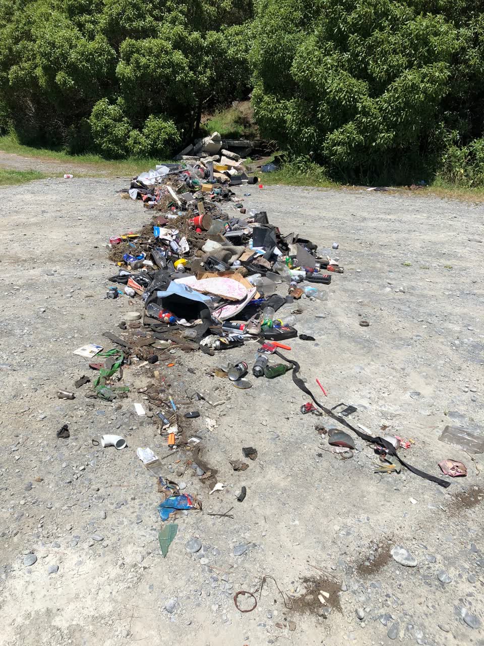 The photograph attached to this parks report