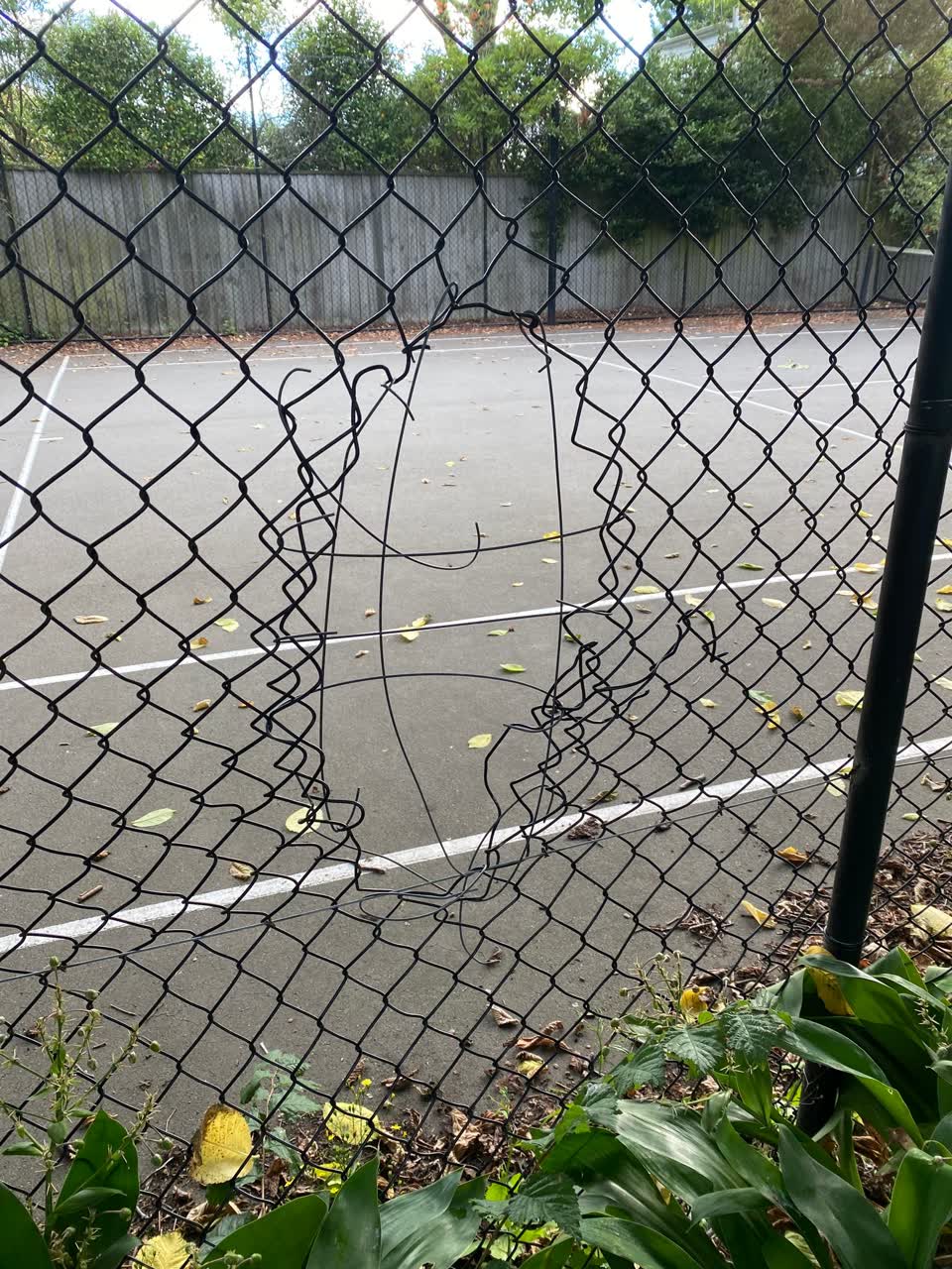 The photograph attached to this parks report