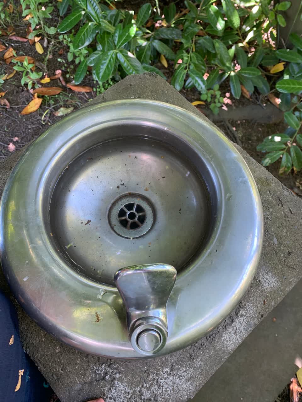 The photograph attached to this parks report