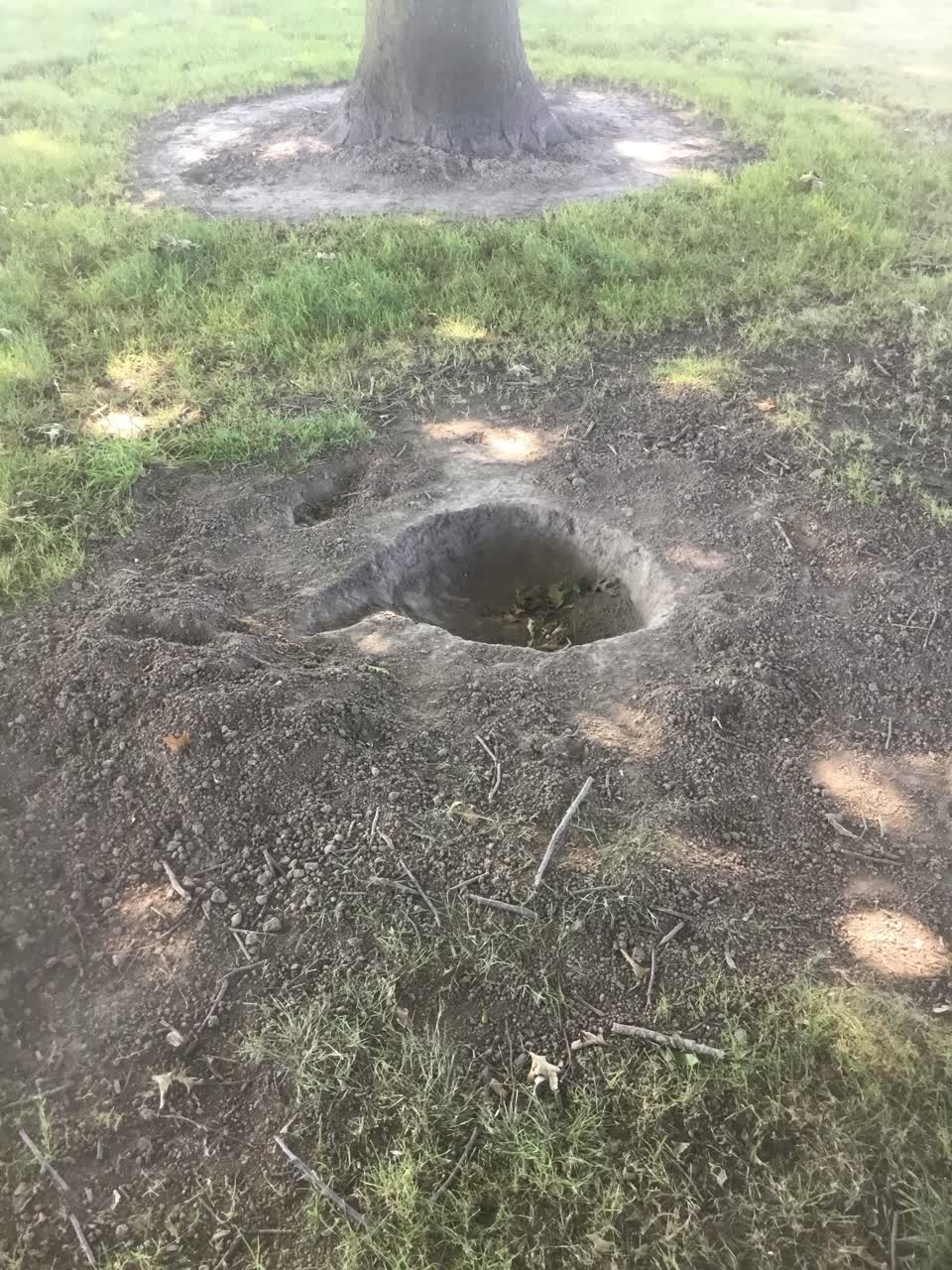The photograph attached to this parks report