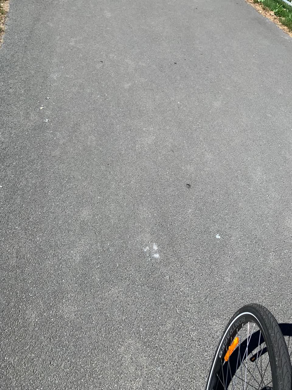 The photograph attached to this parks report