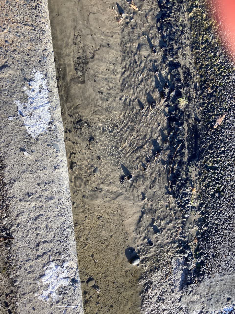 The photograph attached to this water leak report