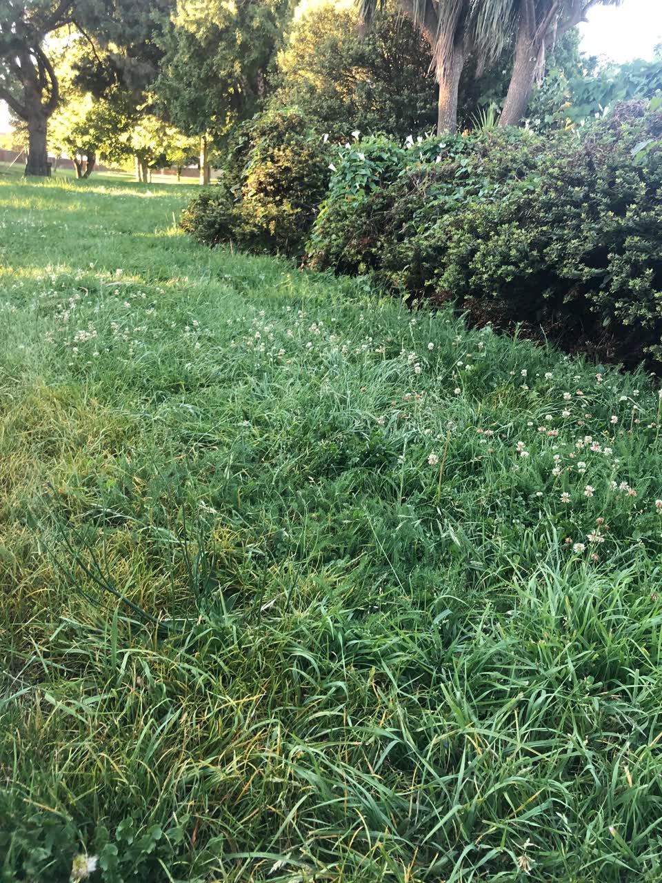 The photograph attached to this parks report