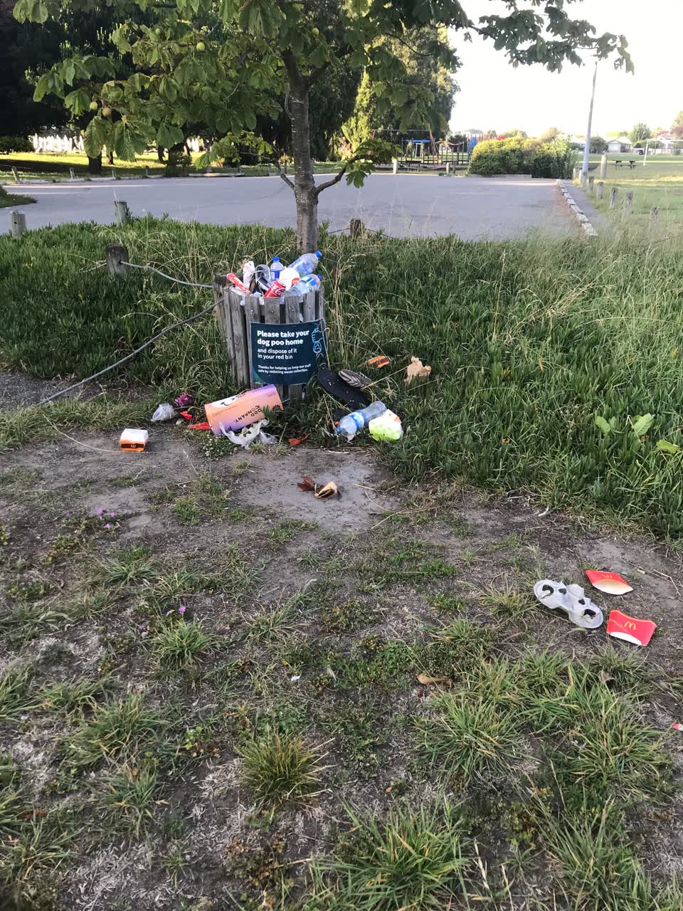 The photograph attached to this parks report