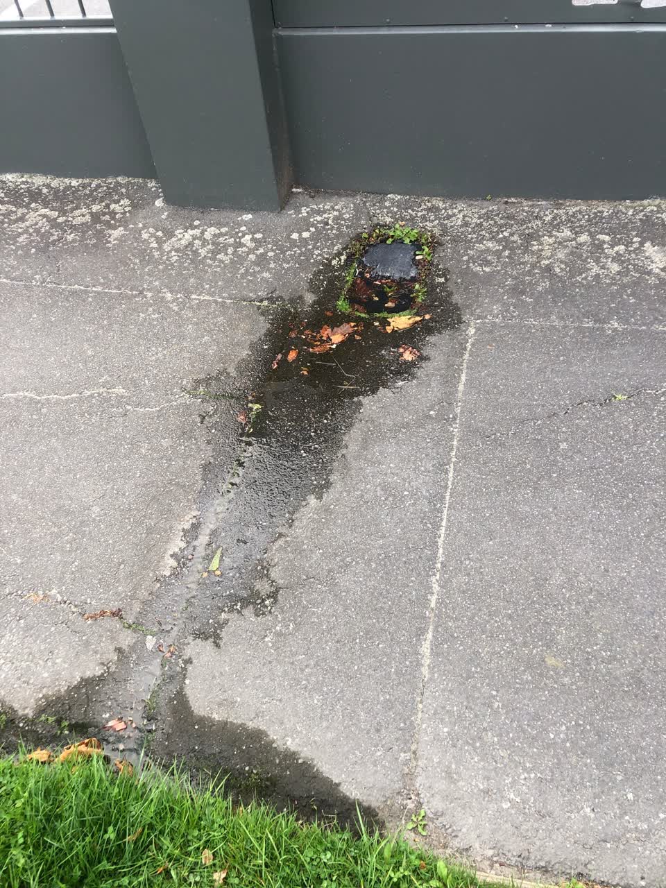 The photograph attached to this water leak report