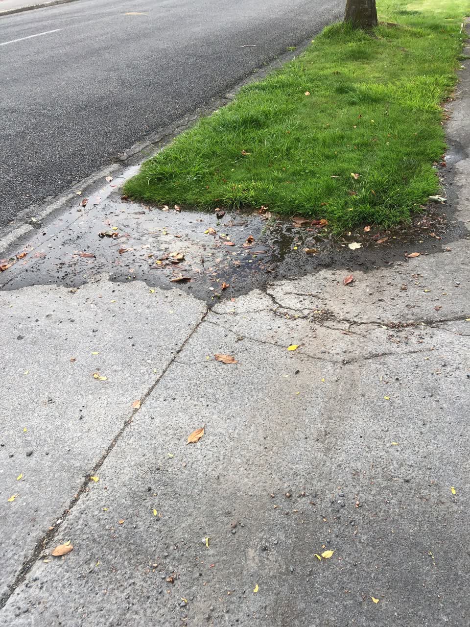 The photograph attached to this water leak report